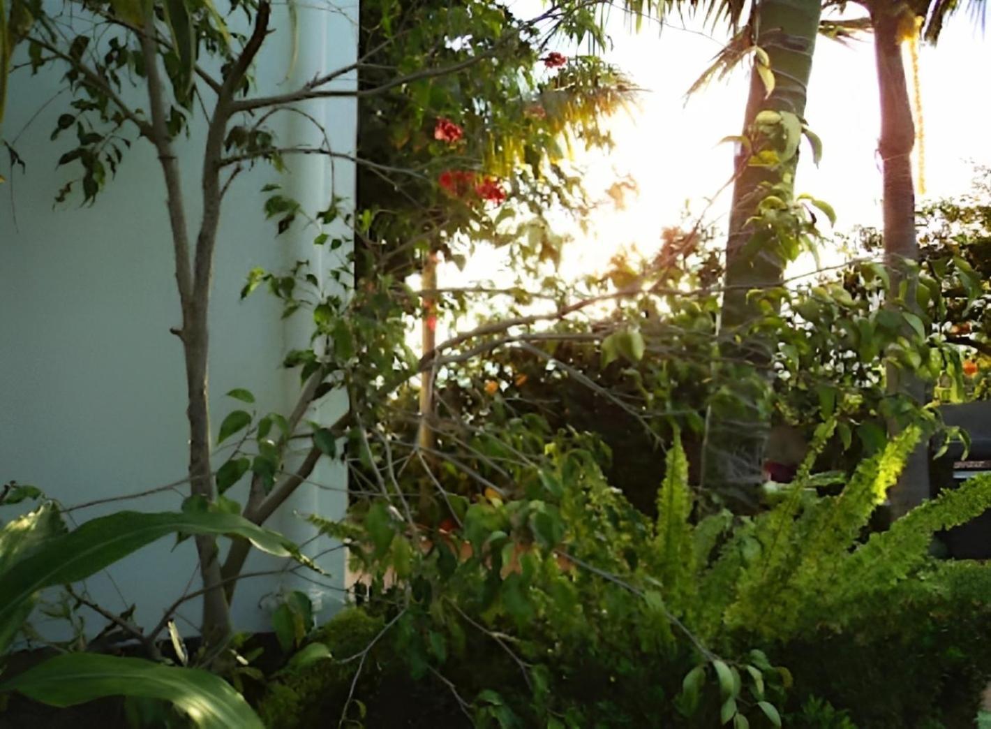 Eden - Pool, Barbecue, Spectacular Views, Up To 7 Guests Willa